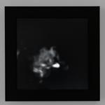 volute_monterrey_2019_ro_012 : Square
