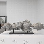 volute_sydney_2023_mk_173 : Landscape